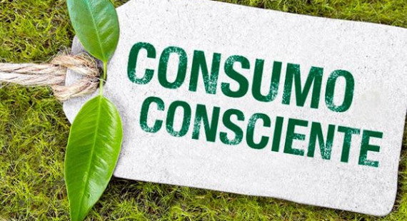 SUSTENTABILIDADE: Como reduzir o consumo do papel