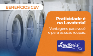 Lavateria Fast